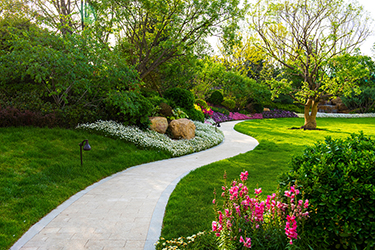 園林微型空氣站監(jiān)測(cè)：呵護(hù)綠色空間，提升城市生活質(zhì)量